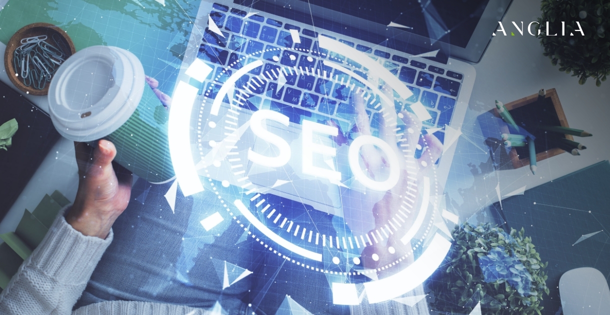 SEO Basics: How Search Engines Actually Work in 2026